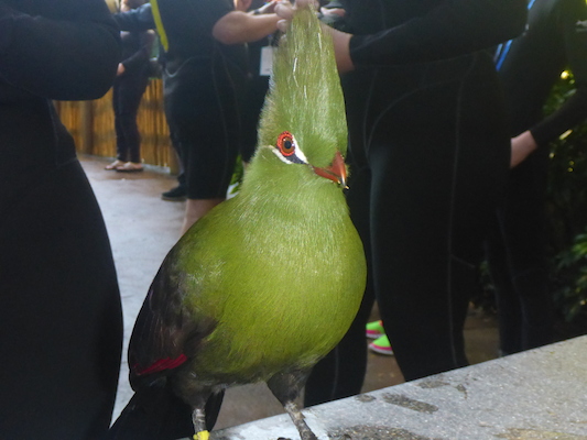 P1010359 (02-15-2015 09:09)