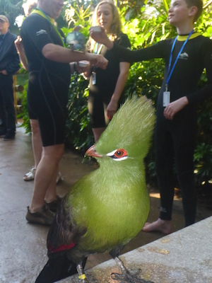 P1010360 (02-15-2015 09:09)