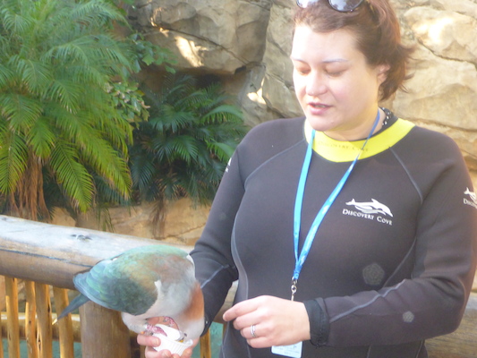 P1010361 (02-15-2015 09:10)