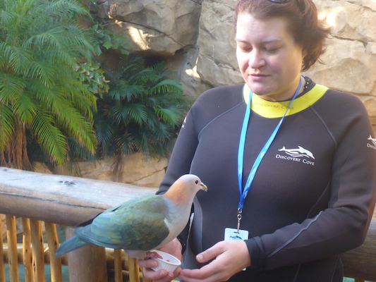 P1010362 (02-15-2015 09:10)