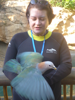 P1010363 (02-15-2015 09:10)