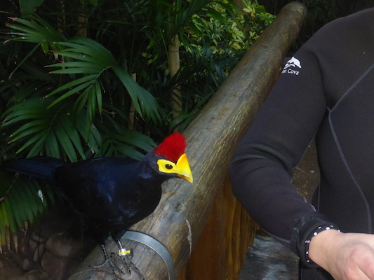 P1010366 (02-15-2015 09:11)