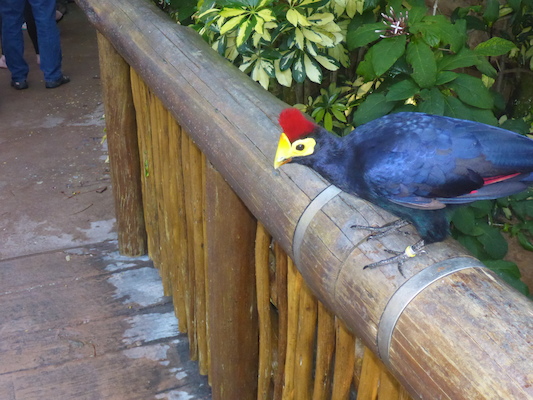 P1010367 (02-15-2015 09:11)