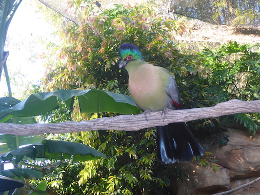 P1010368 (02-15-2015 09:12)