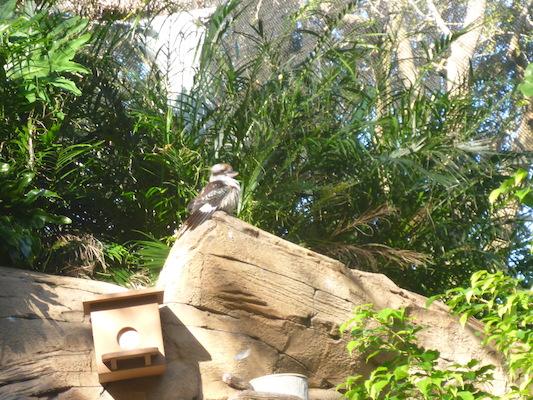 P1010369 (02-15-2015 09:12)