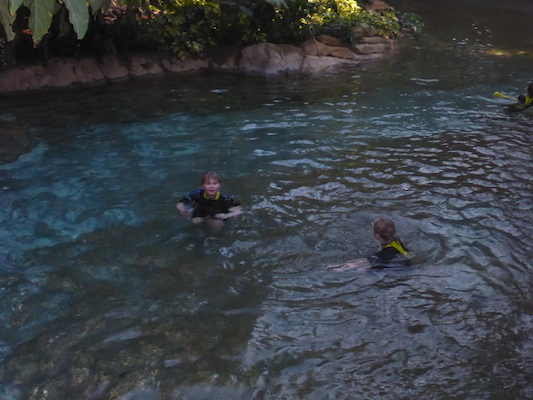 P1010370 (02-15-2015 09:13)