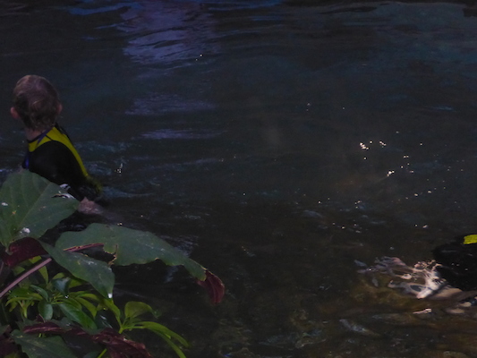 P1010371 (02-15-2015 09:14)