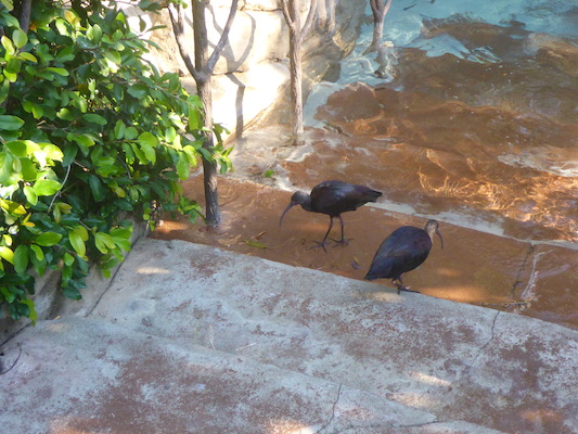 P1010372 (02-15-2015 09:14)