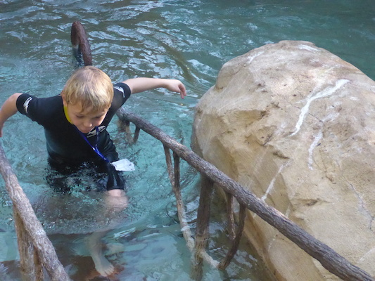 P1010373 (02-15-2015 09:15)