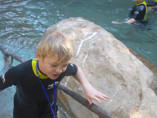 P1010374 (02-15-2015 09:15)