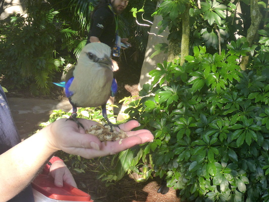 P1010376 (02-15-2015 09:16)