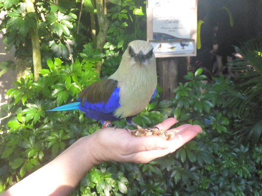 P1010377 (02-15-2015 09:16)