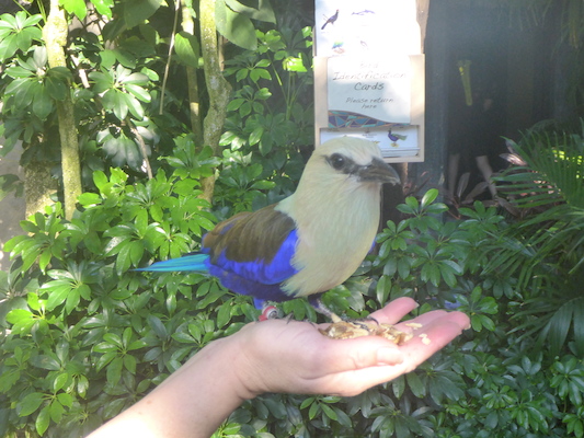 P1010378 (02-15-2015 09:16)