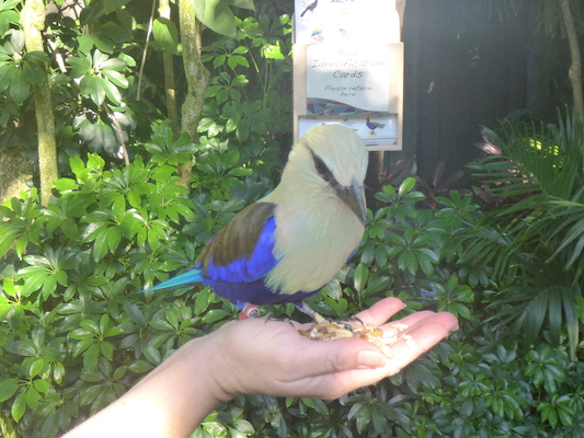 P1010379 (02-15-2015 09:16)