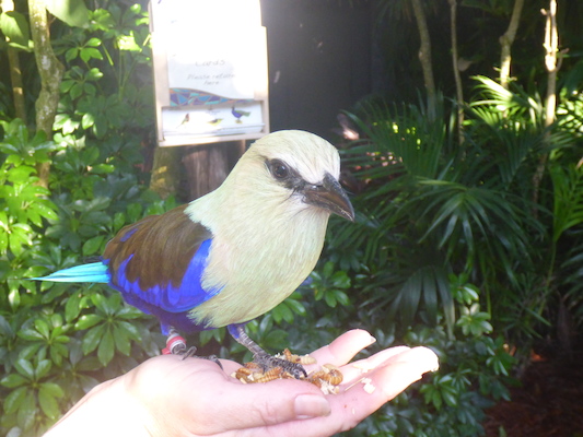 P1010380 (02-15-2015 09:17)