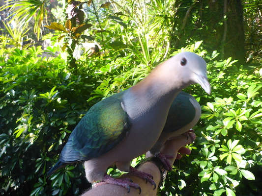 P1010381 (02-15-2015 09:17)