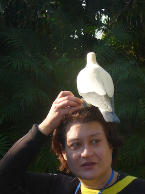 P1010386 (02-15-2015 09:19)