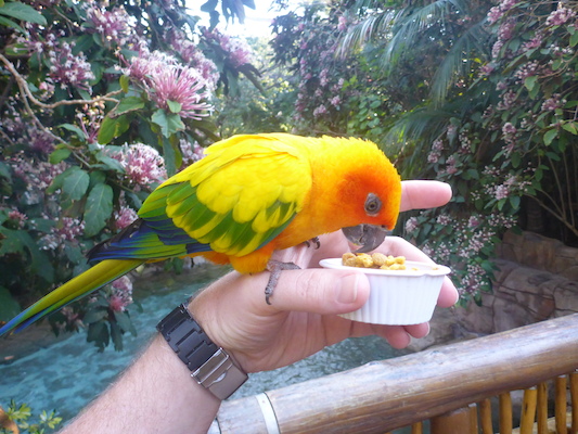 P1010387 (02-15-2015 09:19)