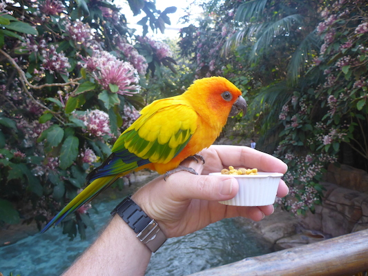 P1010388 (02-15-2015 09:19)