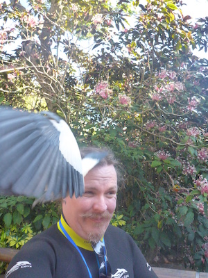 P1010393 (02-15-2015 09:20)