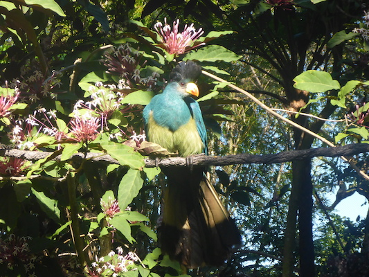 P1010394 (02-15-2015 09:20)