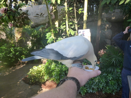 P1010395 (02-15-2015 09:21)