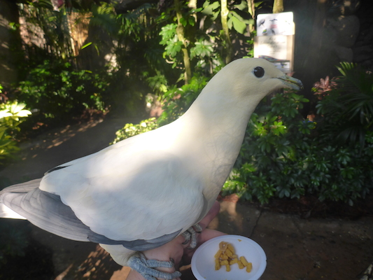 P1010396 (02-15-2015 09:21)