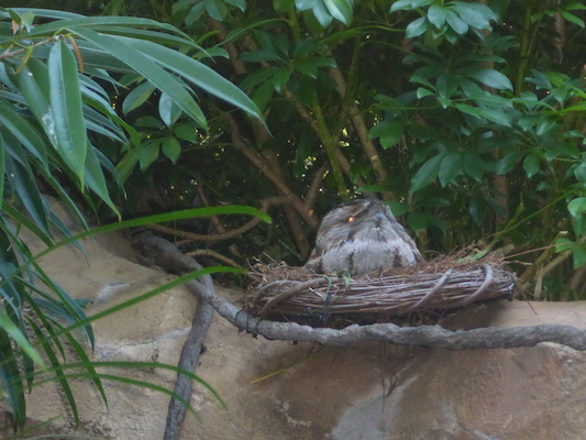 P1010399 (02-15-2015 09:23)