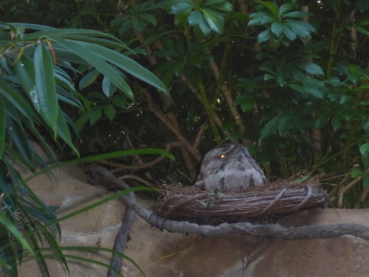 P1010400 (02-15-2015 09:23)