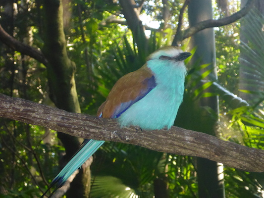 P1010402 (02-15-2015 09:26)