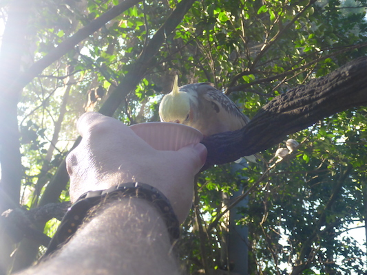 P1010403 (02-15-2015 09:27)