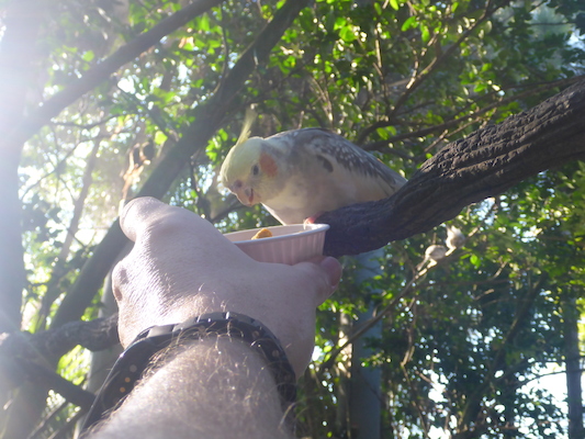 P1010404 (02-15-2015 09:27)