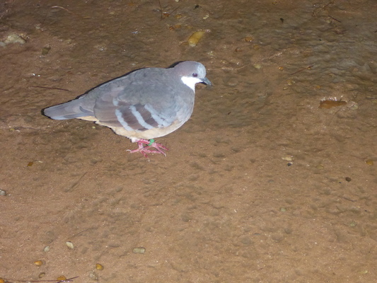 P1010405 (02-15-2015 09:28)