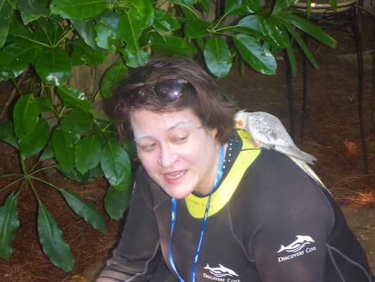 P1010406 (02-15-2015 09:28)