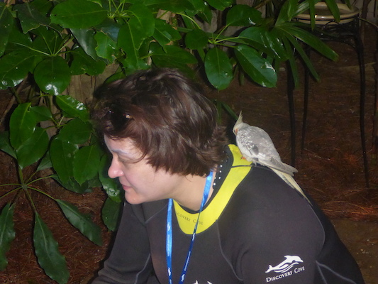 P1010407 (02-15-2015 09:28)