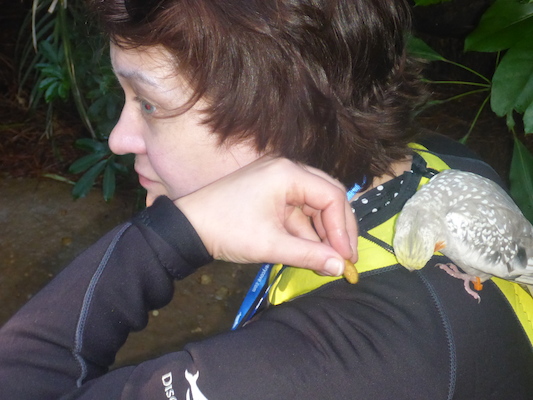 P1010408 (02-15-2015 09:28)