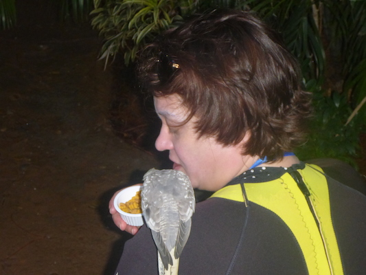 P1010409 (02-15-2015 09:28)