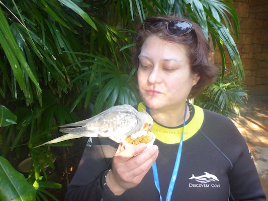 P1010410 (02-15-2015 09:29)