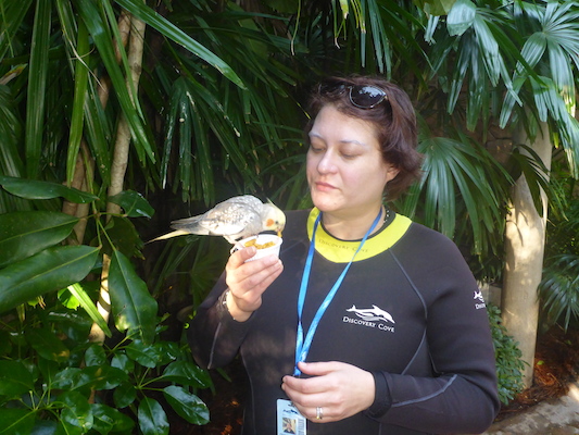 P1010411 (02-15-2015 09:29)