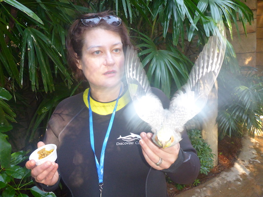 P1010412 (02-15-2015 09:29)