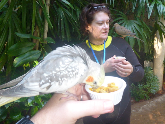 P1010413 (02-15-2015 09:29)