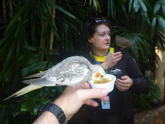 P1010414 (02-15-2015 09:29)