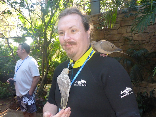 P1010415 (02-15-2015 09:30)