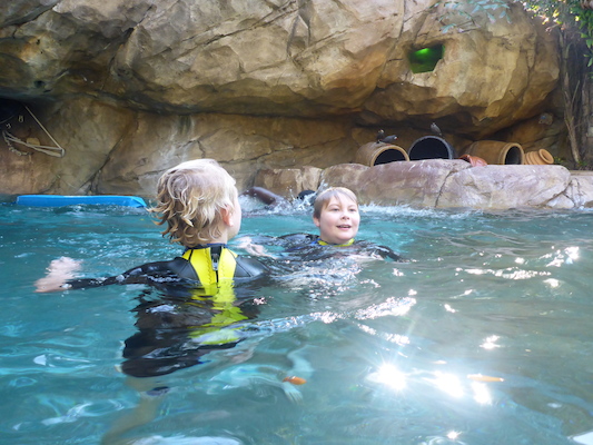 P1010421 (02-15-2015 09:34)