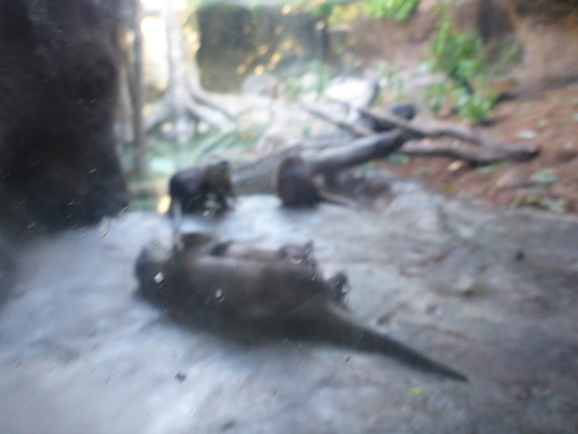 P1010426 (02-15-2015 09:40)