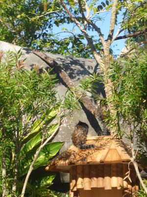 P1010428 (02-15-2015 09:42)