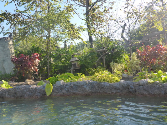 P1010430 (02-15-2015 09:45)