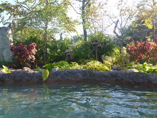 P1010431 (02-15-2015 09:46)