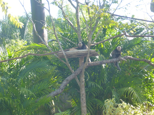 P1010432 (02-15-2015 09:46)