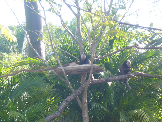 P1010433 (02-15-2015 09:46)